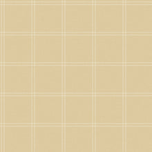 106751000 Fine Lines Beige Wallpaper by Caselio