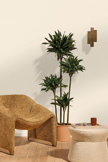 107331000 Uni Mat Neige Wallpaper by Caselio