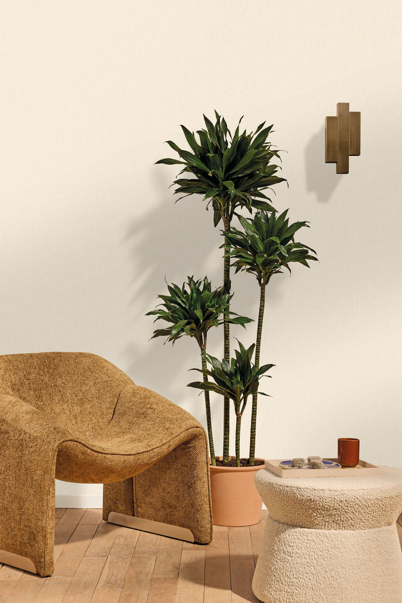 107331000 Uni Mat Neige Wallpaper by Caselio