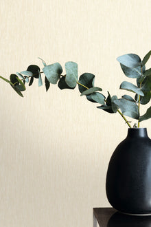 107331191 Uni Mat Ecru Wallpaper by Caselio