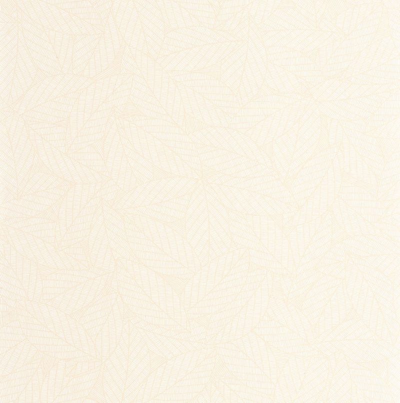 107340000 Delora Blanc Wallpaper by Caselio