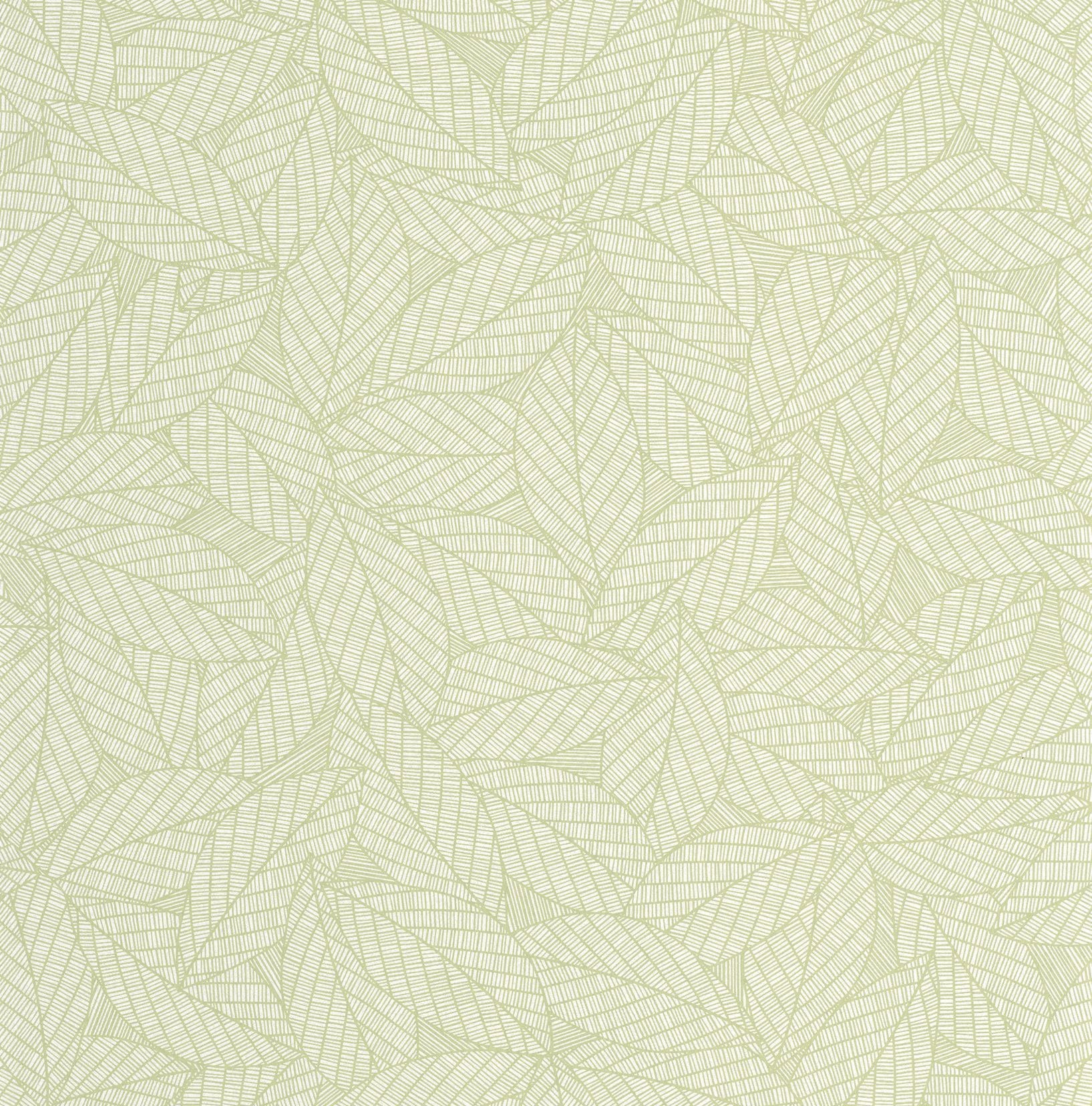 107347004 Delora Vert Amande Wallpaper by Caselio