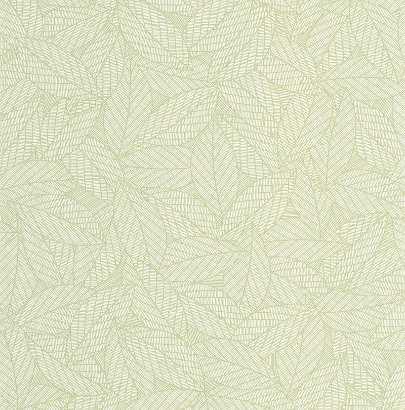 107347004 Delora Vert Amande Wallpaper by Caselio