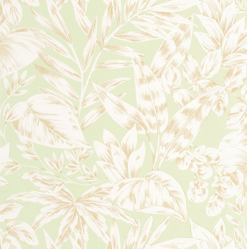 107367046 Kalea Vert Amande Wallpaper by Caselio