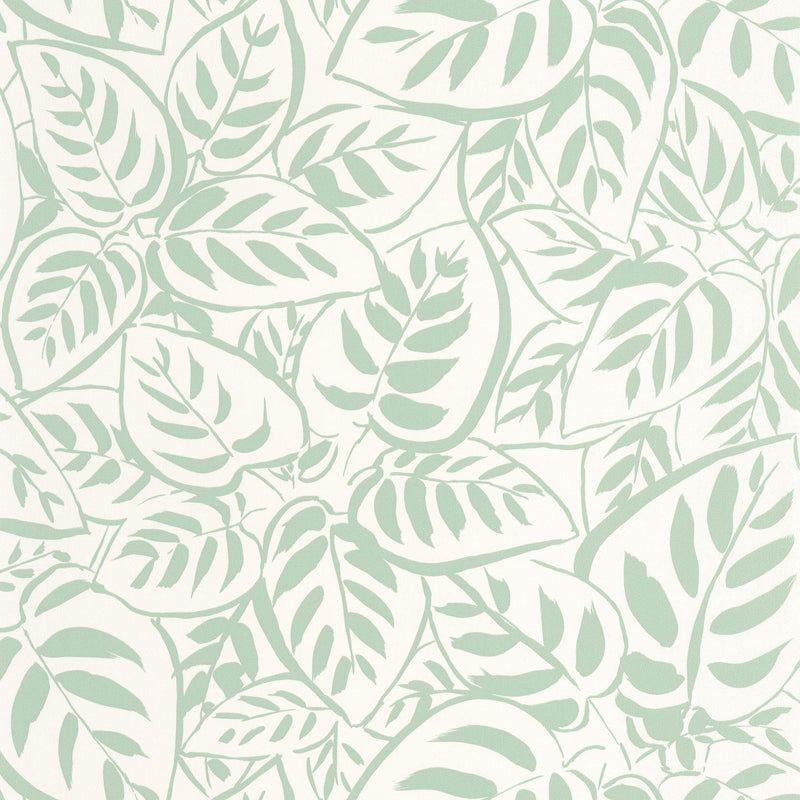BLS107557070 Caluna Vert Amande Wallpaper by Caselio