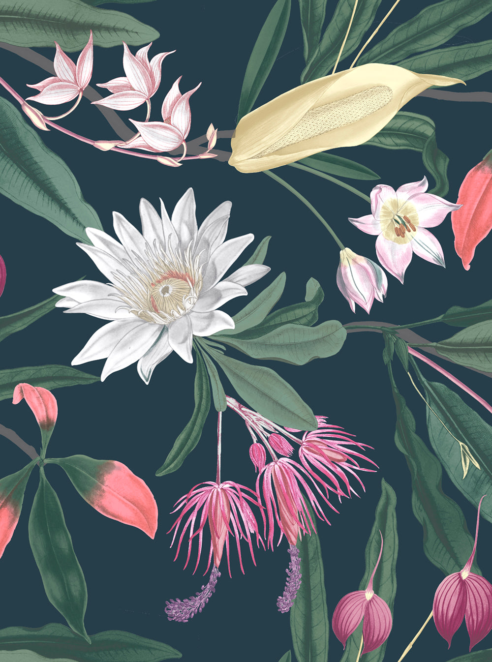 107601 Paradise Midnight Explorer Wallpaper by Graham and Brown