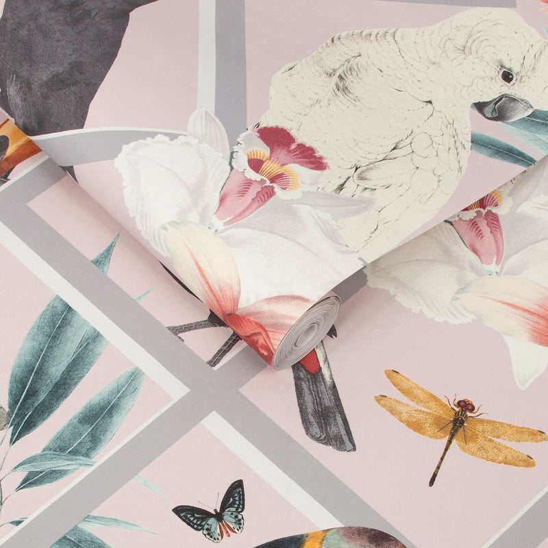 107604 Perch Blush Hybrid Wallpaper by Graham and Brown