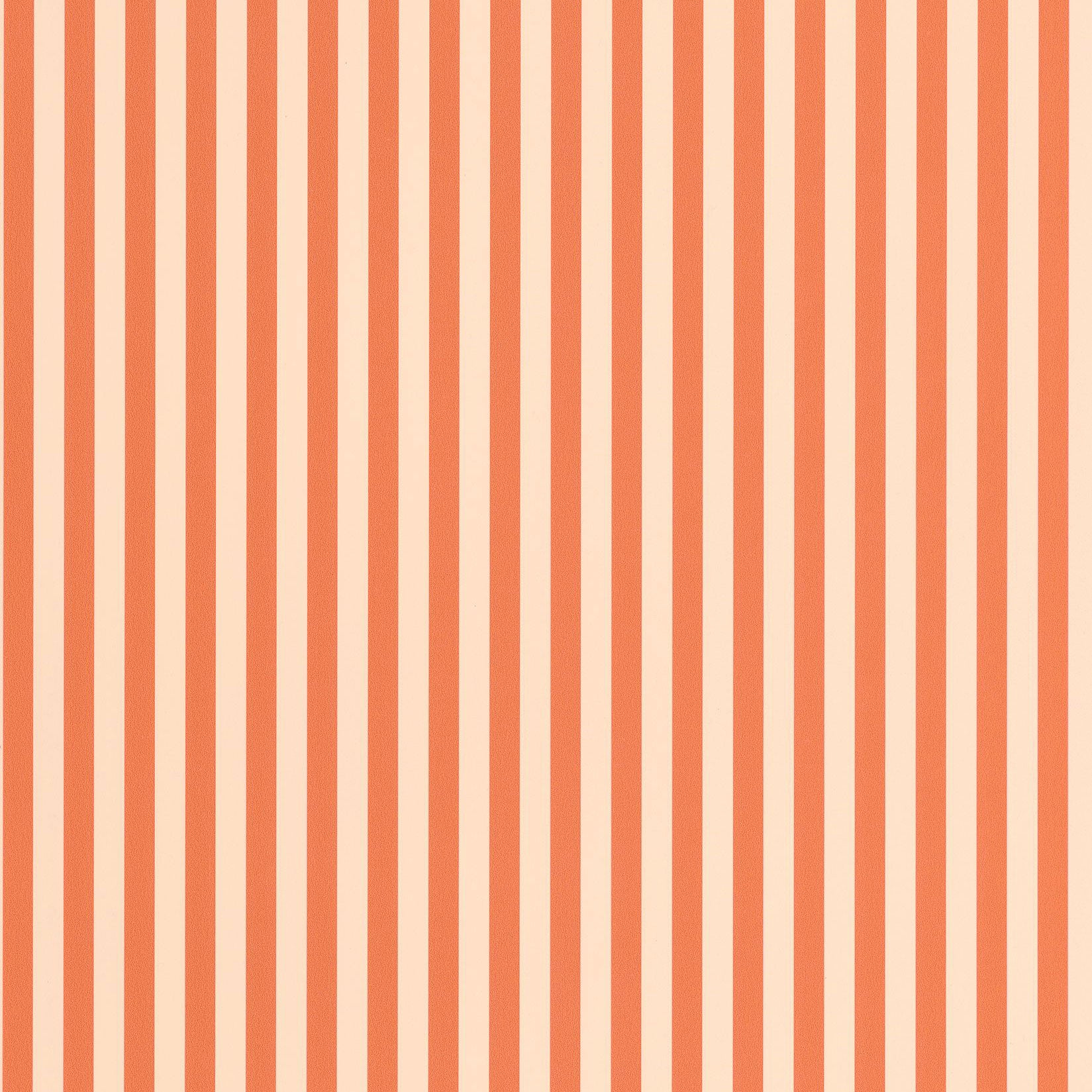 Marshmallow Rouge Rose Happy Kids Club Wallpaper by Caselio
