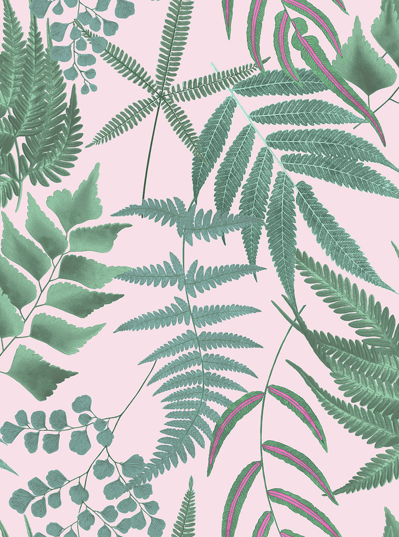 107878 Midsummer Fern Explorer Wallpaper by Graham and Brown