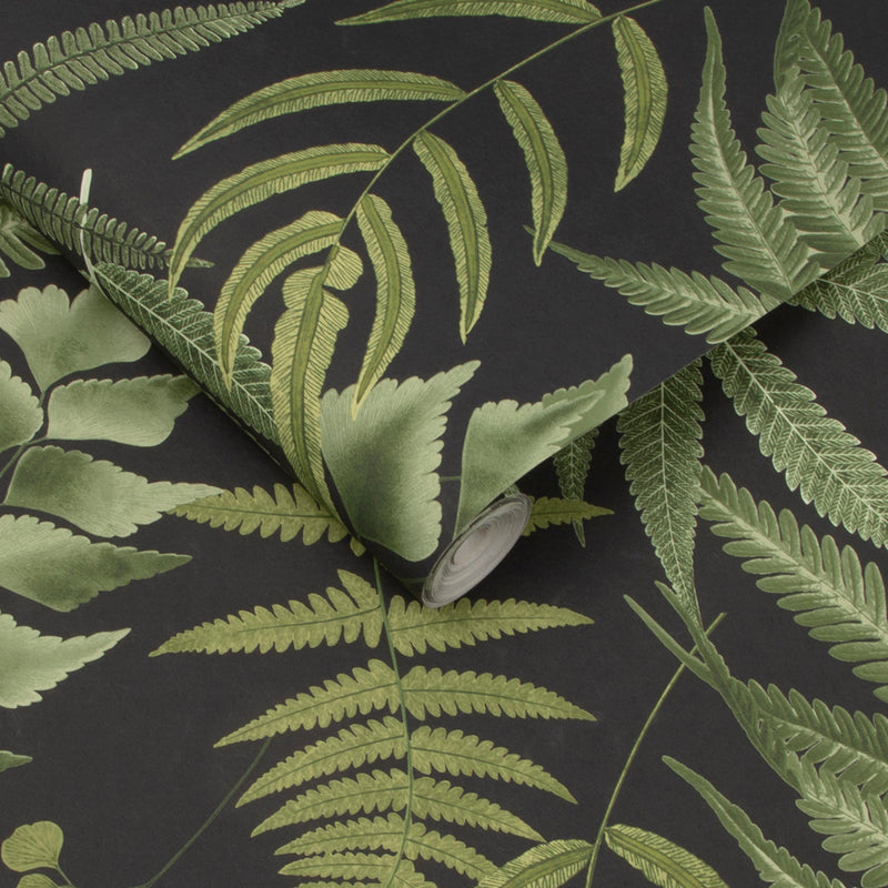 107879 Midsummer Fern Explorer Wallpaper by Graham and Brown