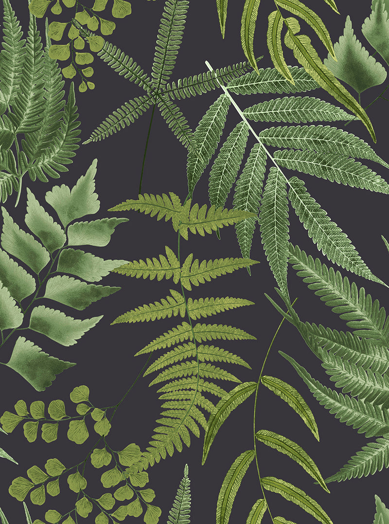 107879 Midsummer Fern Explorer Wallpaper by Graham and Brown
