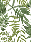 Midsummer Fern Explorer Wallpaper by Graham and Brown