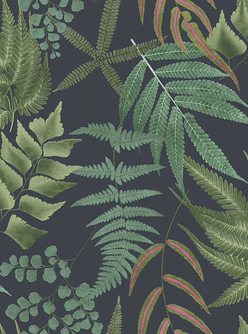 107881 Midsummer Fern Explorer Wallpaper by Graham and Brown