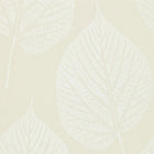 110369 Leaf Momentum 2 Wallpaper by Harlequin