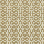 110379 Trellis Momentum 2 Wallpaper by Harlequin