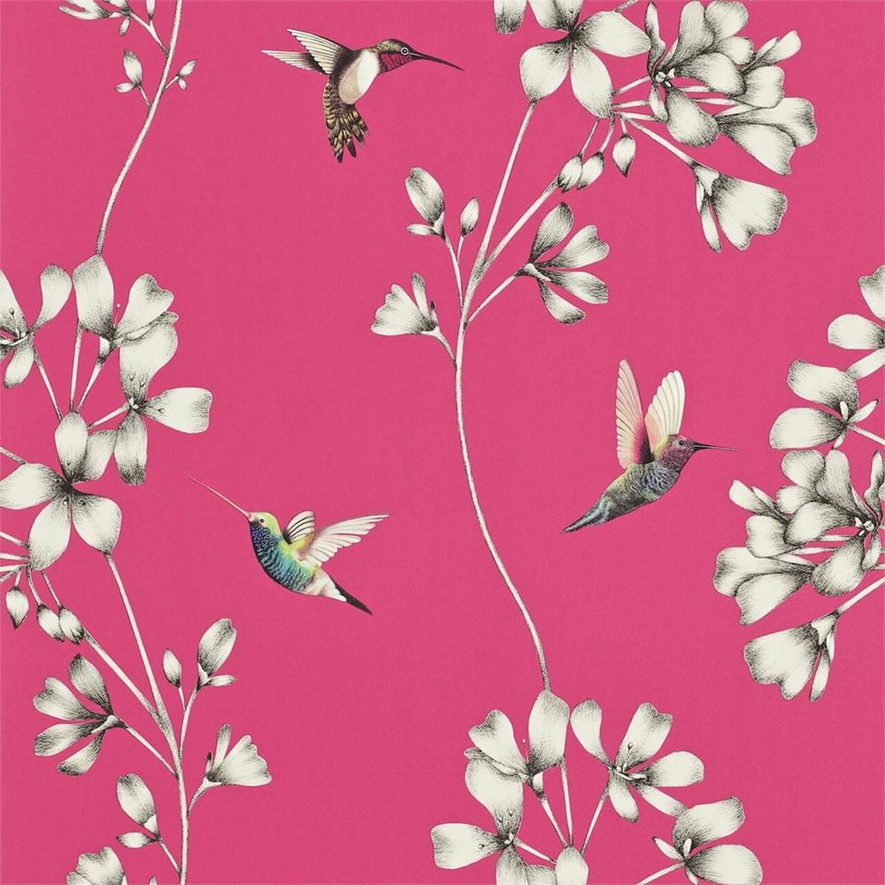 111058 ( HAMA111058 ) Amazilia Wallpaper by Harlequin