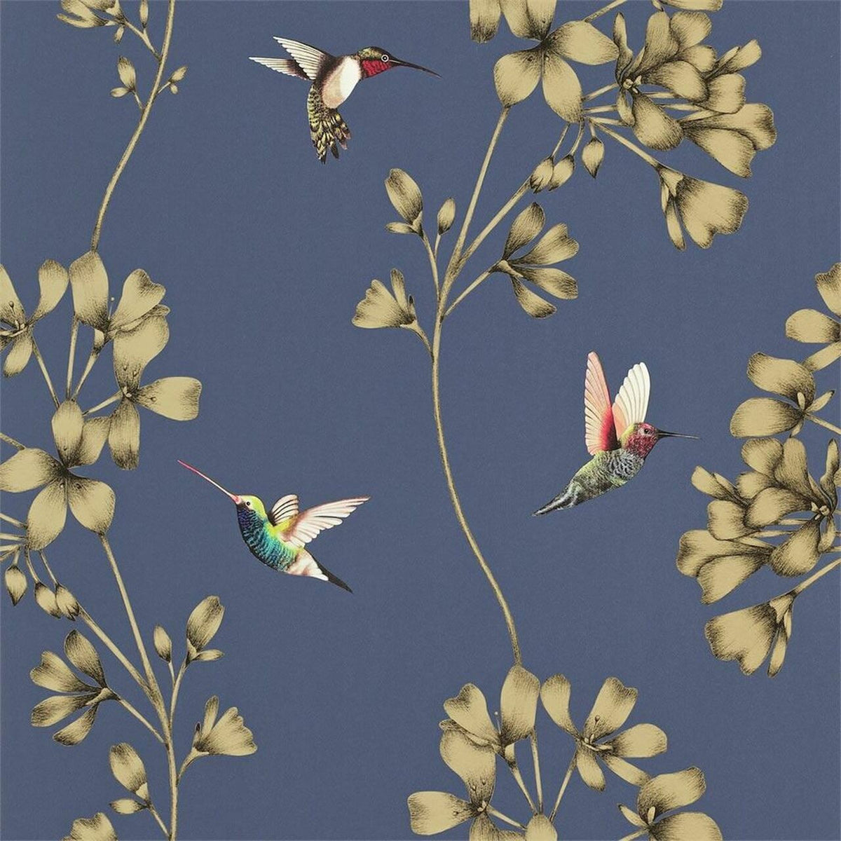 Amazilia Indigo Wallpaper by Harlequin