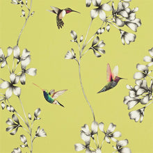 111061 ( HAMA111061 ) Amazilia Wallpaper by Harlequin