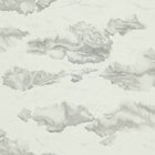 111071 ( HAMA111071 ) Nuvola Nalina Colour Wallpaper by Harlequin