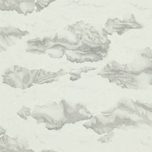 111071 ( HAMA111071 ) Nuvola Nalina Colour Wallpaper by Harlequin