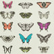 Papilio Colour Wallpaper by Harlequin
