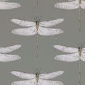 Demoiselle Graphite and Almond Wallpaper by Harlequin
