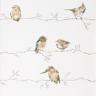 111484 Persico Standing Ovation Wallpaper by Harlequin