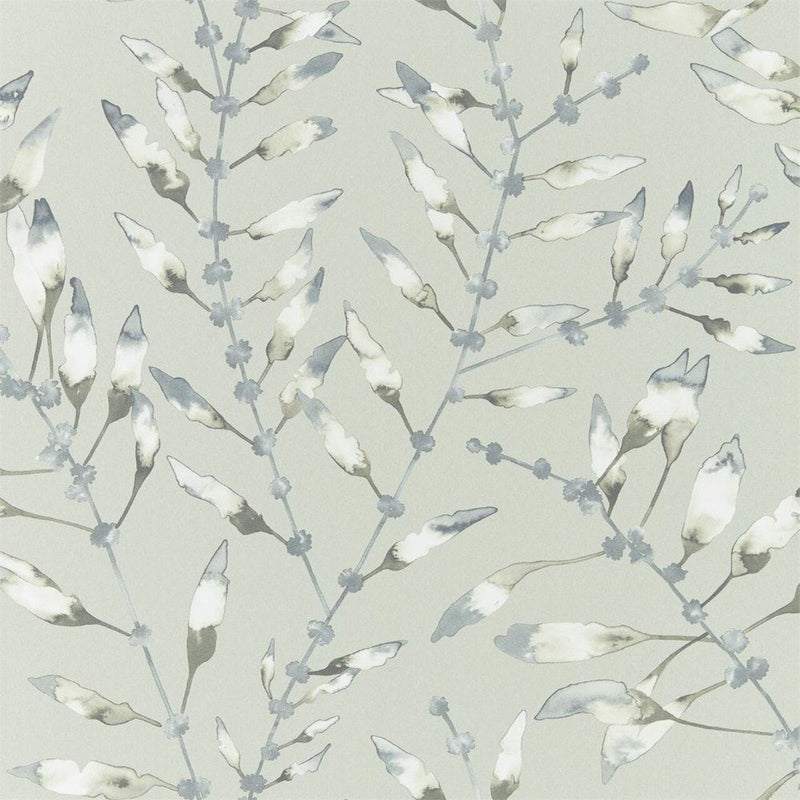 111632 Chaconia Anthozoa Wallpaper By Harlequin