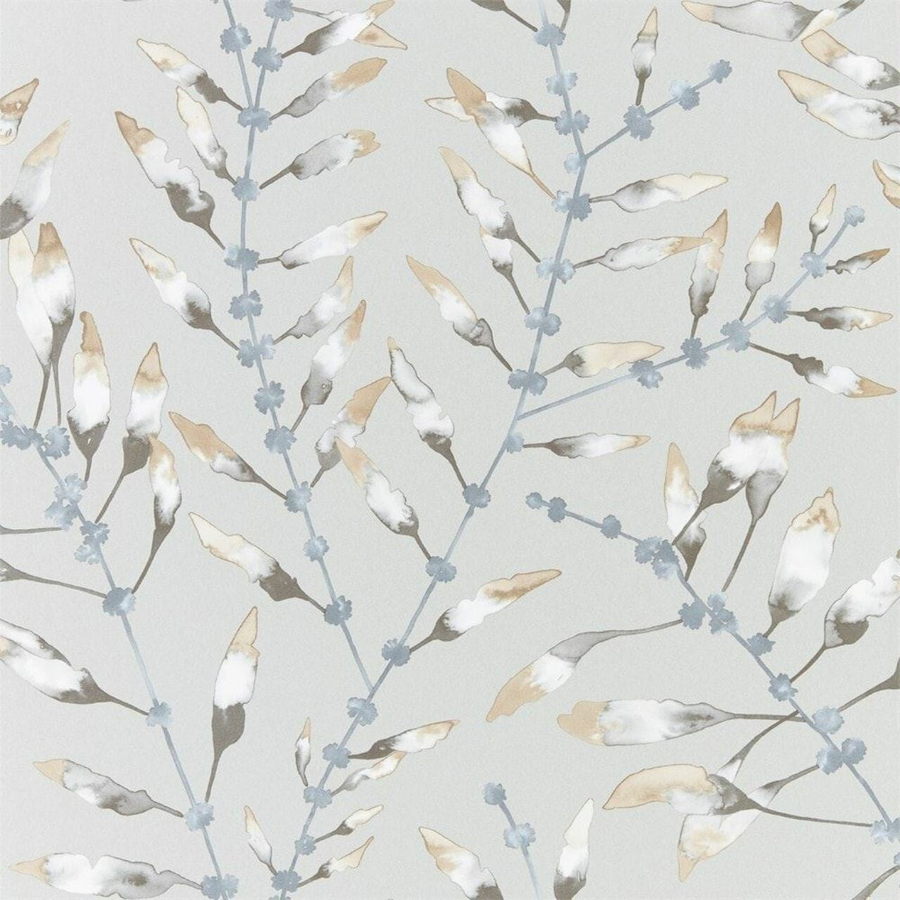 111633 Chaconia Anthozoa Wallpaper By Harlequin