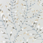 111633 Chaconia Anthozoa Wallpaper By Harlequin