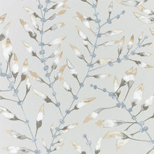 111633 Chaconia Anthozoa Wallpaper By Harlequin