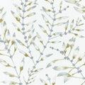 Chaconia Anthozoa Wallpaper By Harlequin