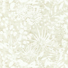 111638 Coralline Anthozoa Wallpaper By Harlequin