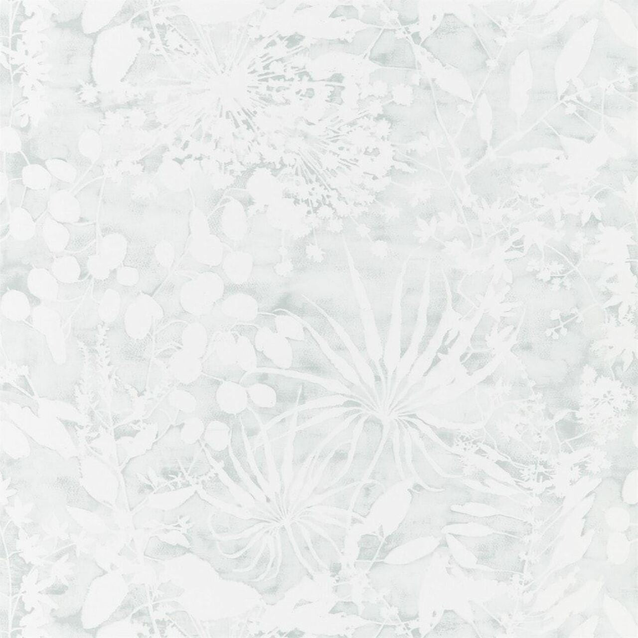 111639 Coralline Anthozoa Wallpaper By Harlequin