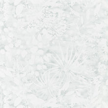 111639 Coralline Anthozoa Wallpaper By Harlequin