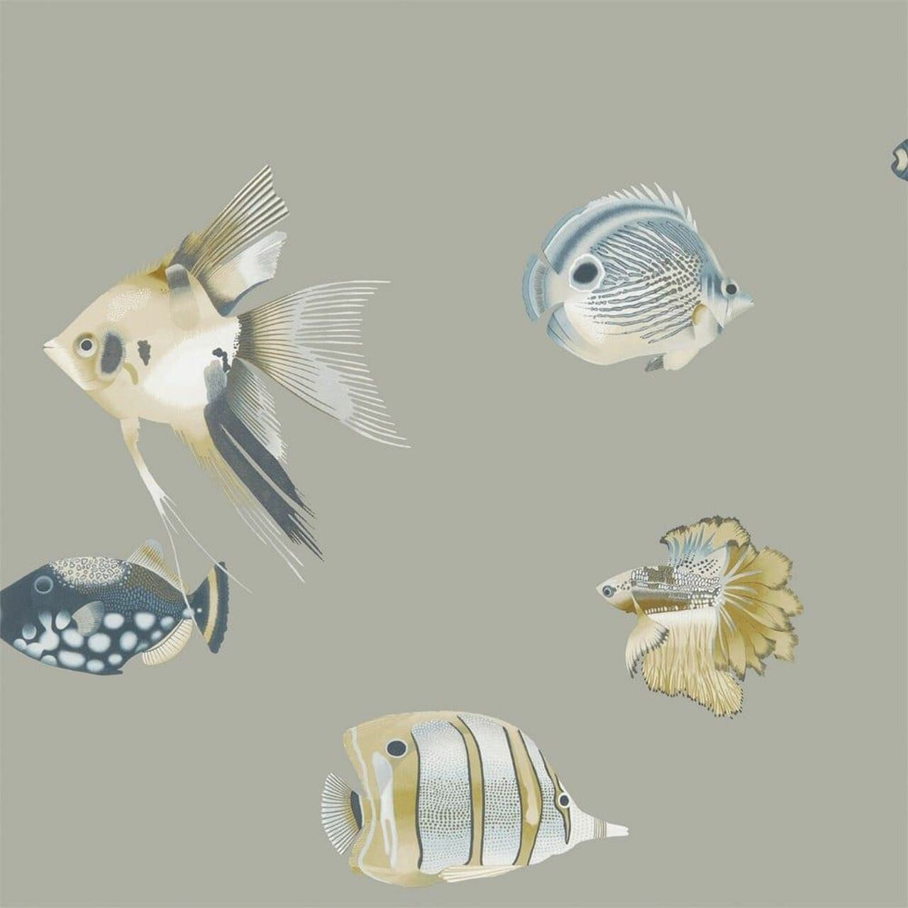 111646 Kamanu Anthozoa Wallpaper By Harlequin