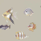 111647 Kamanu Anthozoa Wallpaper By Harlequin