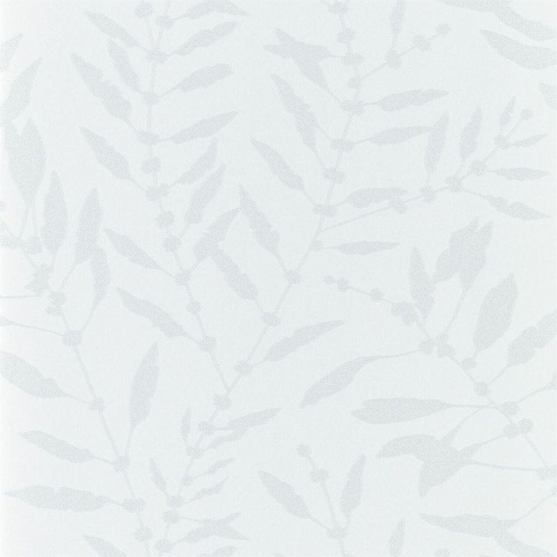111660 Chaconia Shimmer Anthozoa Wallpaper By Harlequin