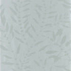 111662 Chaconia Shimmer Anthozoa Wallpaper By Harlequin