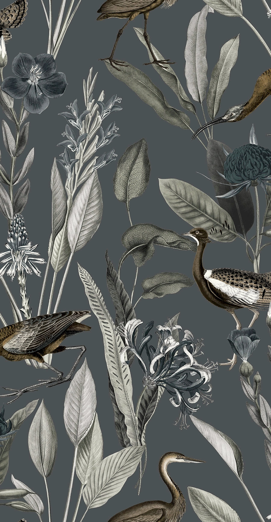 111718 Glasshouse Explorer Wallpaper by Graham and Brown