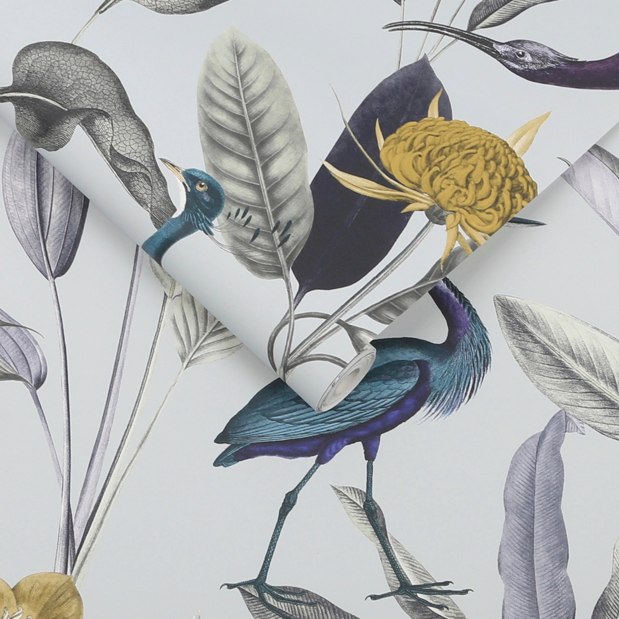 111721 Glasshouse Explorer Wallpaper by Graham and Brown