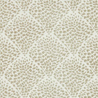 111748 Charm Lucero Wallpaper By Harlequin