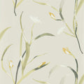 Saona Zapara Wallpaper By Harlequin