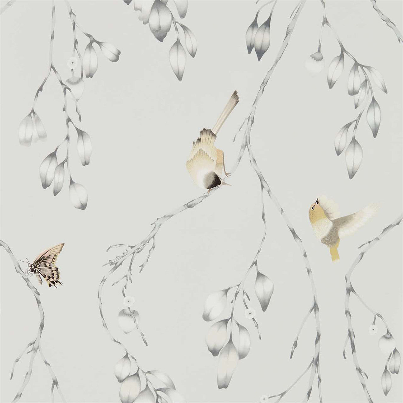 111768 Iyanu Zapara Wallpaper By Harlequin