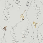 111768 Iyanu Zapara Wallpaper By Harlequin