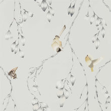 111768 Iyanu Zapara Wallpaper By Harlequin