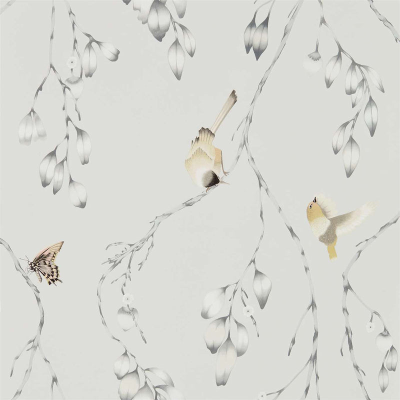 111768 Iyanu Zapara Wallpaper By Harlequin