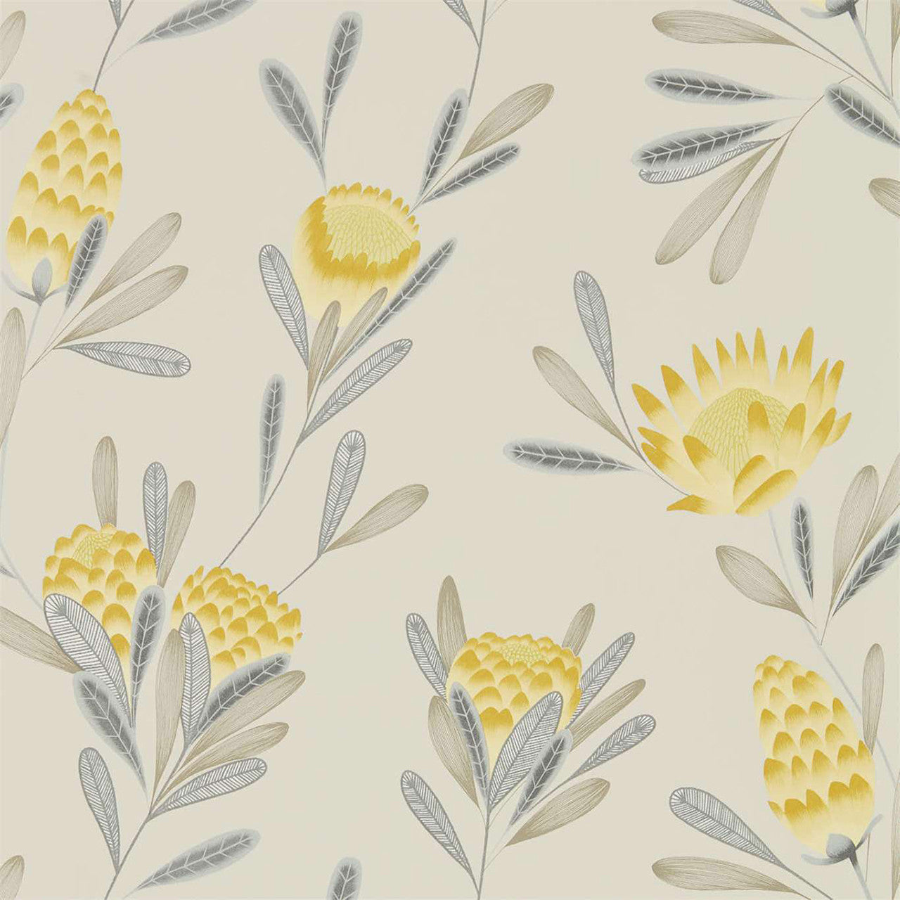 111774 Cayo Zapara Wallpaper By Harlequin