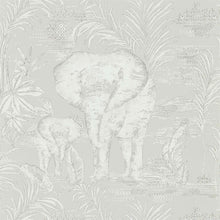 111777 Kinabalu Zapara Wallpaper By Harlequin