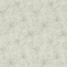 111855 Illusion Anthology 05 Wallpapers By Anthology